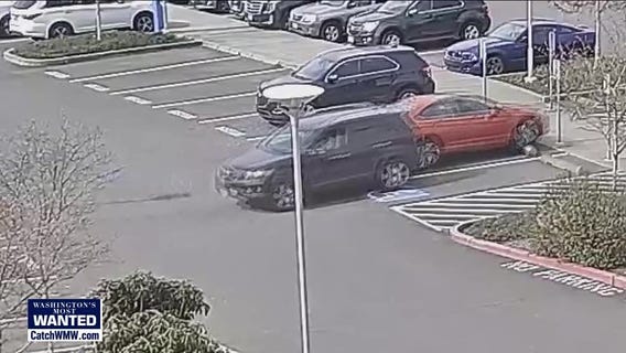 WANTED: Parking lot hit and run perp