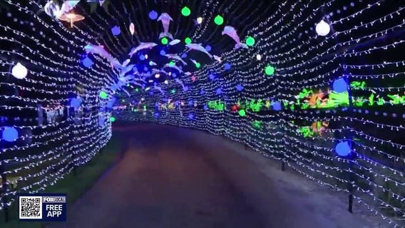 Holiday light displays staying bright after Christmas