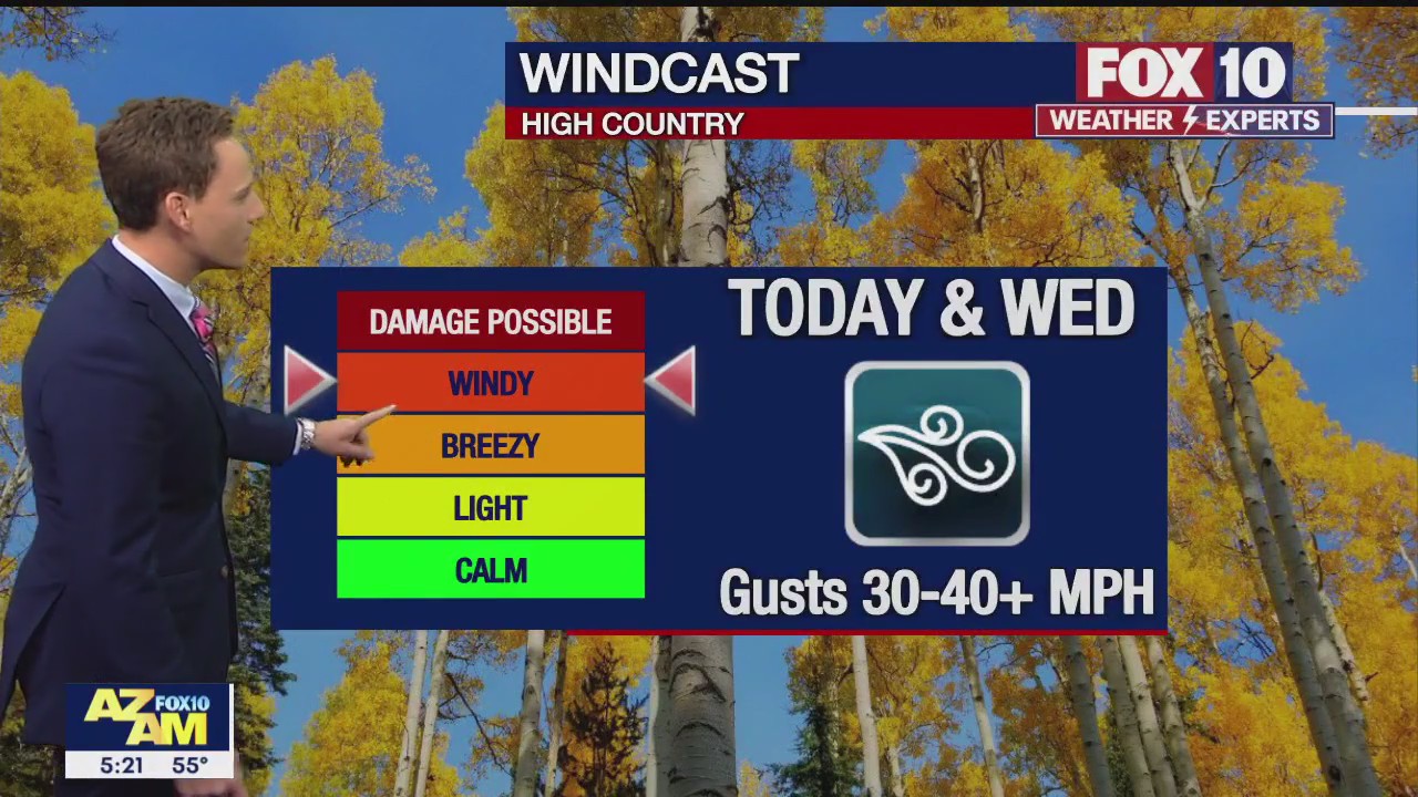 Morning Weather Forecast - 11/8/22