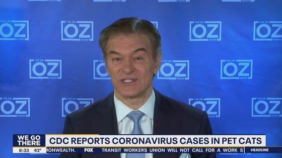 Dr. Oz discusses COVID-19 cases in pet cats