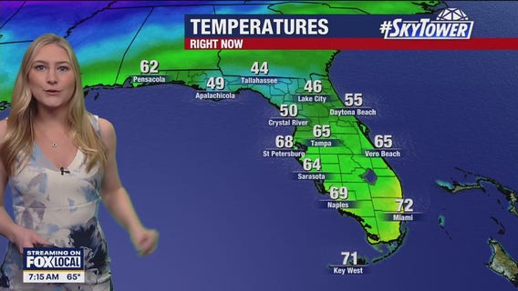 Tampa weather | Breezy and partly cloudy on Sunday