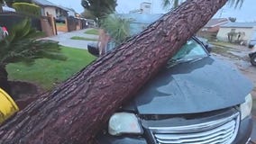 Tornado tears through Pico Rivera