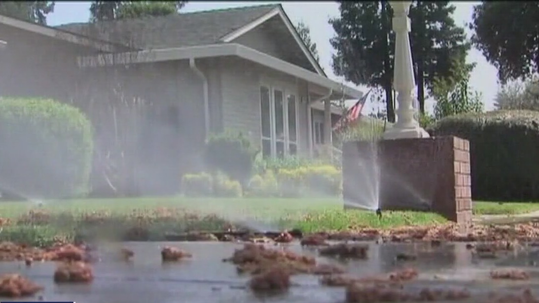 Are your trees in trouble due to drought?