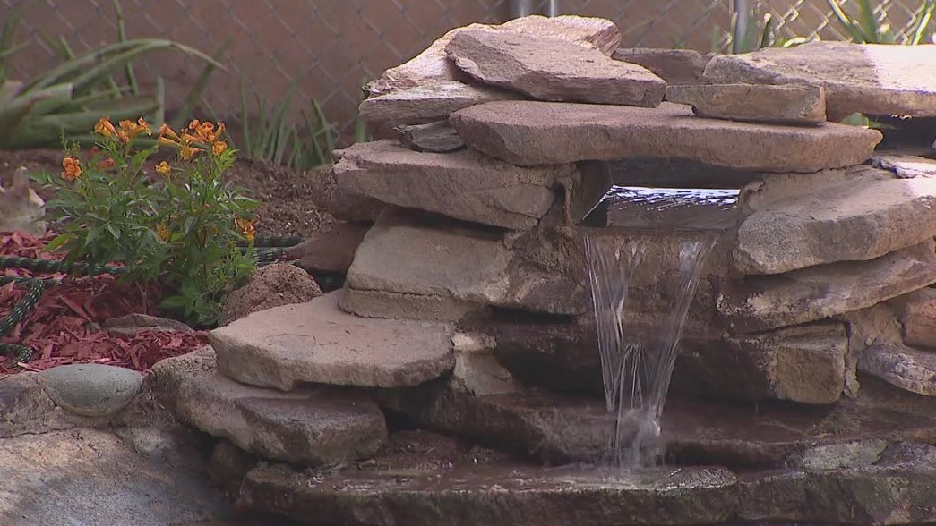 Campus pond at Cactus High School gets a makeover