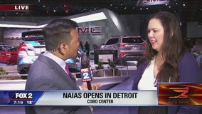 Chevy Bolt, Chrysler Pacifica and Honda Ridgeline take 2017 Car, Truck and Sport Utility Awards