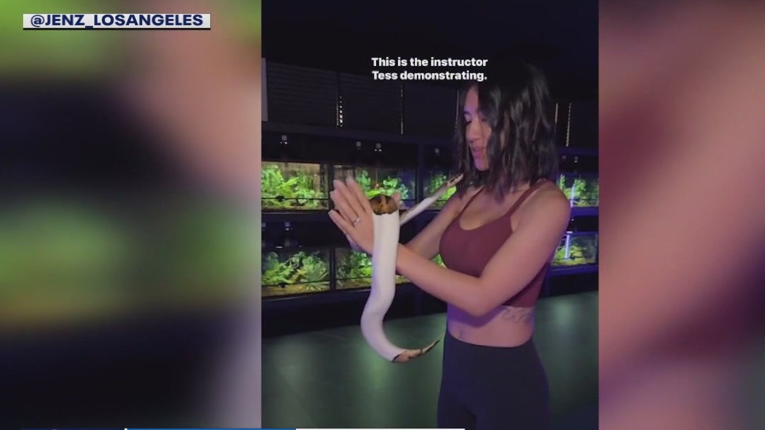Snake yoga comes to SoCal