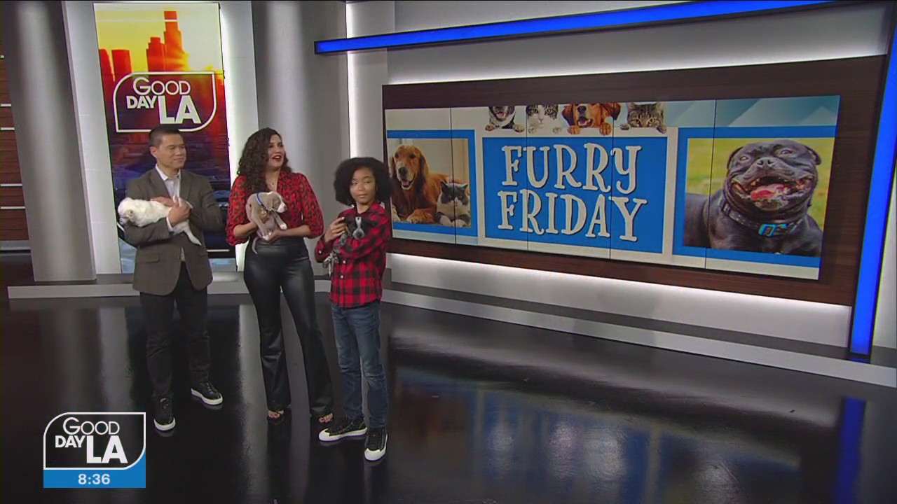 'Puppy Place' joins Furry Friday