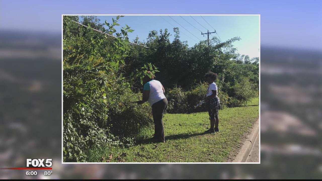 Volunteers conduct search in Virginia for missing 19-year-old Ashanti Billie