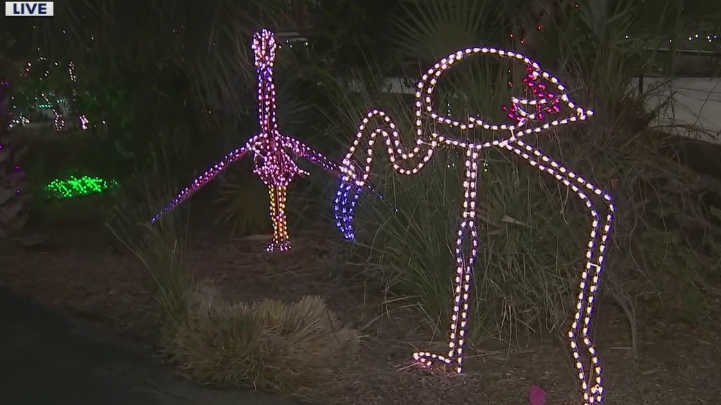 Sunday marks the last night of Phoenix Zoolights