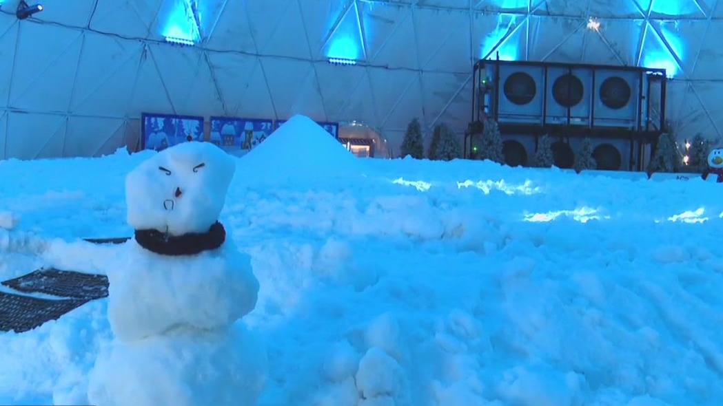 Only snow park in Florida open for the holidays