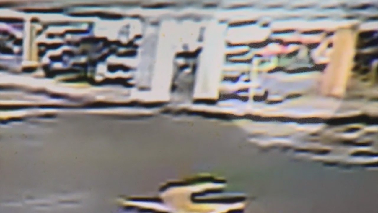 Stabbing suspect released