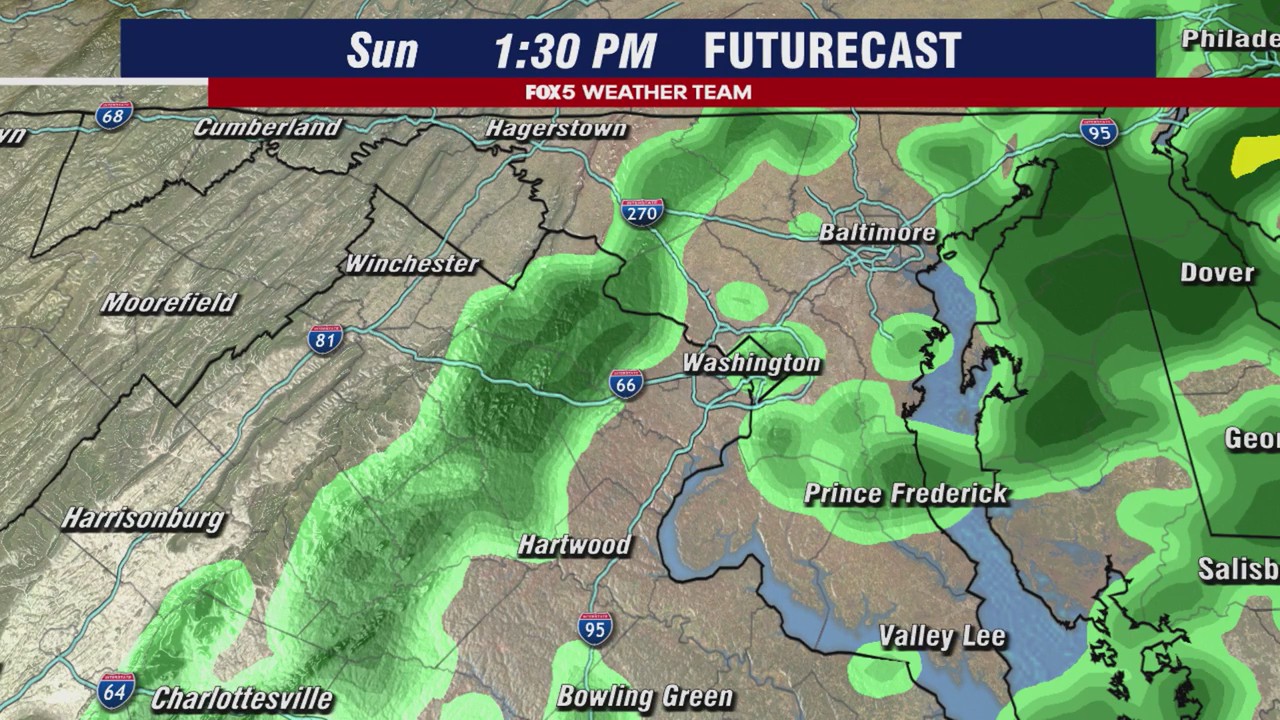 DC Weekend Weather: Nor’easter brings heavy rain and strong winds | FOX ...