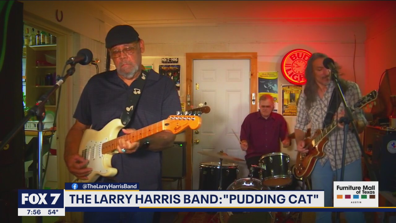 The Larry Harris Band: "Pudding Cat"