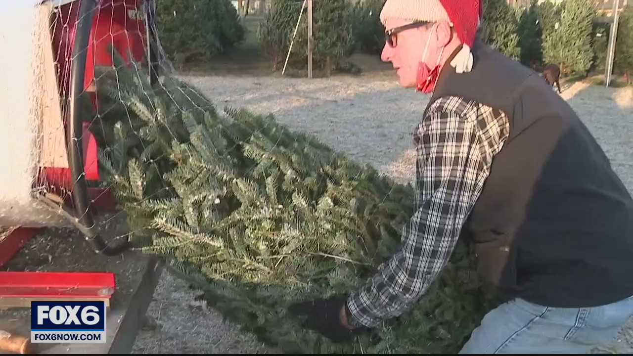 Mequon tree farm busier than ever as families get outdoors