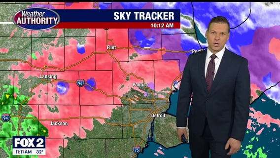 Ice coating many areas across SE MI