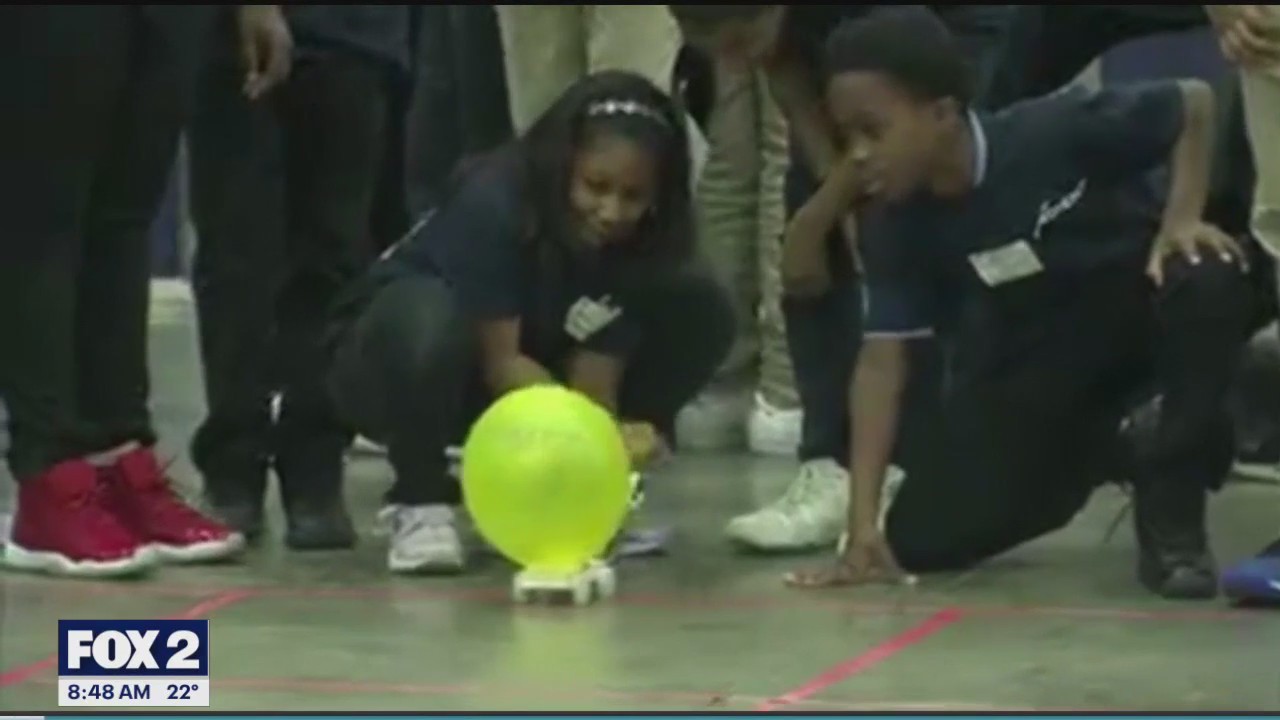 Special council works to protect and promote STEM excellence