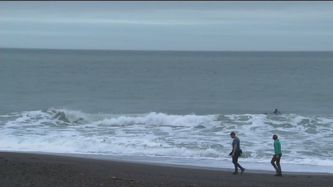 Bay Area preparing for the storm