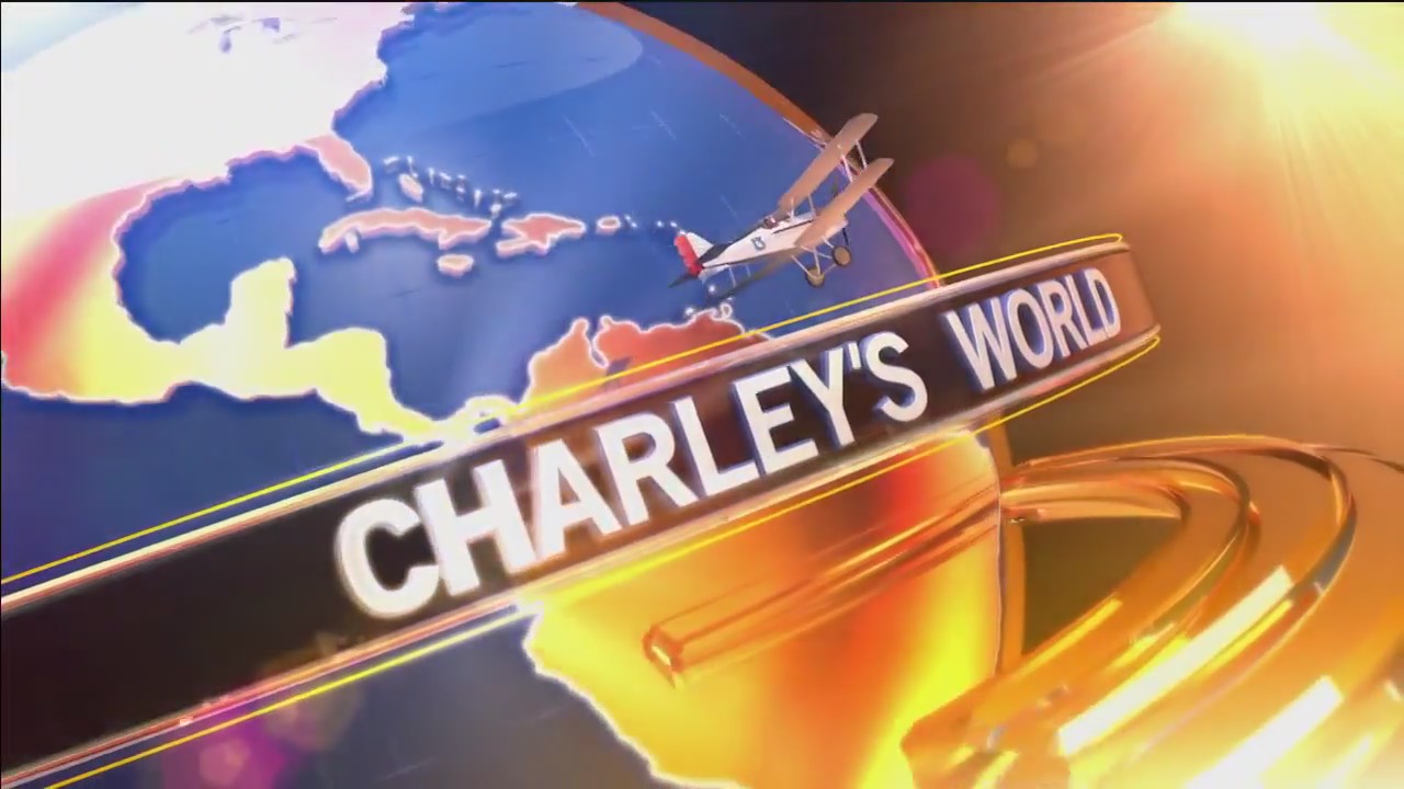 Vine Vegan celebrating 'Veganuary'