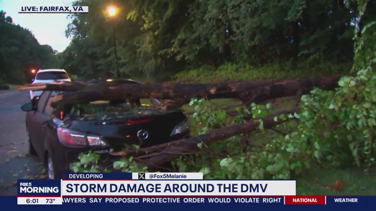 Storm damage around the DMV | FOX 5 DC