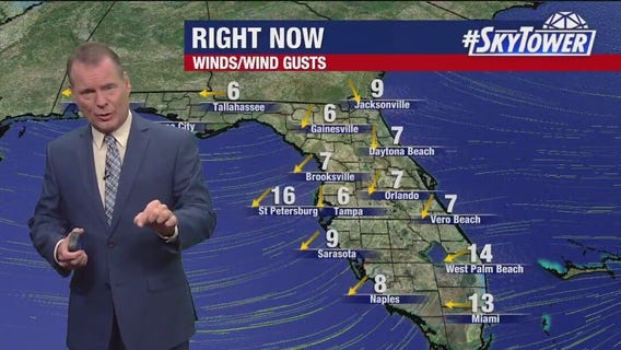 Tampa weather | Breezy & warm