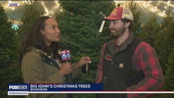 Why get a real Christmas tree?