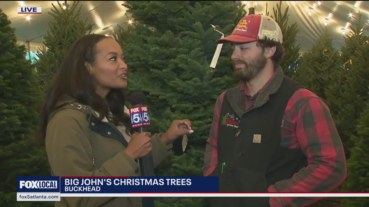 Why get a real Christmas tree?