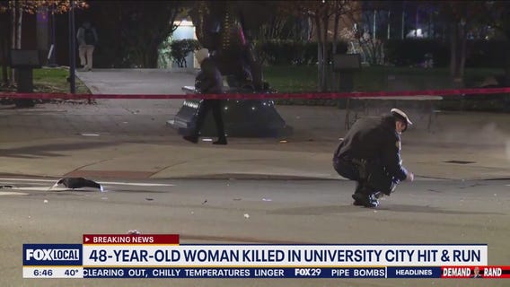 Woman killed in hit-and-run while walking to work with co-workers: police