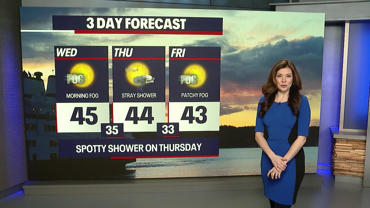 Seattle weather: Another cool day, morning fog for Wednesday