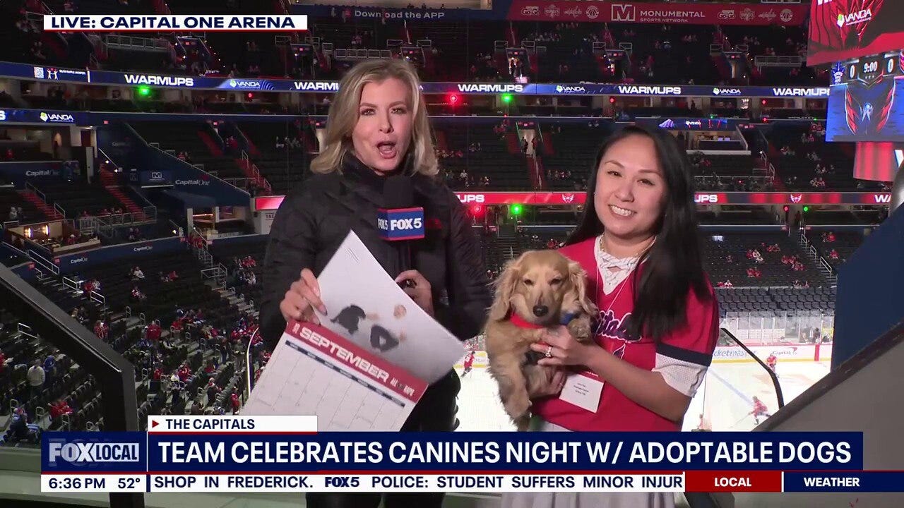 Capitals celebrate four-legged friends, encourage adoption at Canines Night