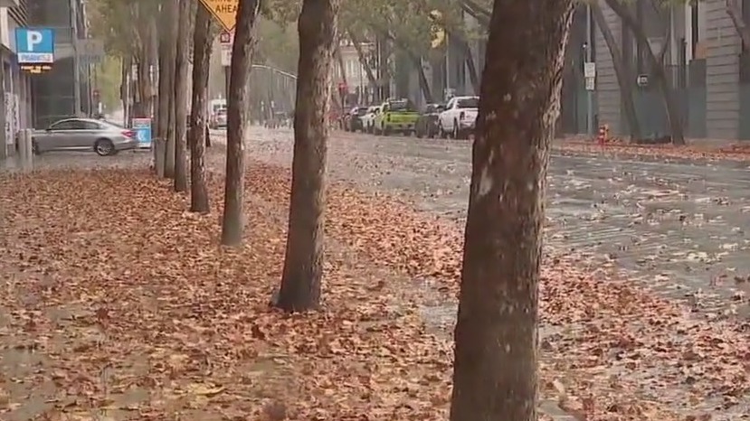 Storm packs punch in South Bay