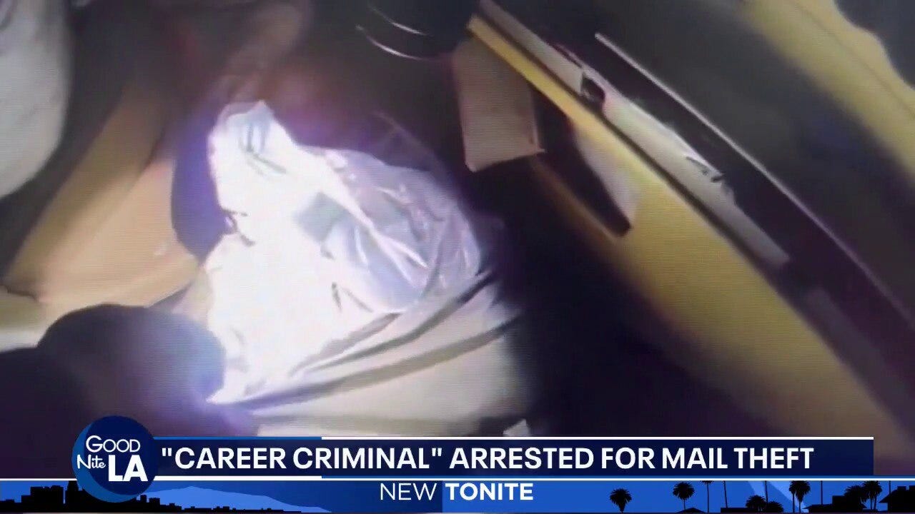 Real life 'Grinch' accused of stealing packages