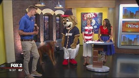 Summer fun with the United Shore Professional Baseball League