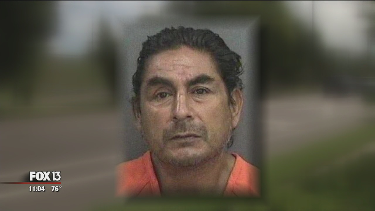 Police search for driver who killed homeless man | FOX 13 Tampa Bay