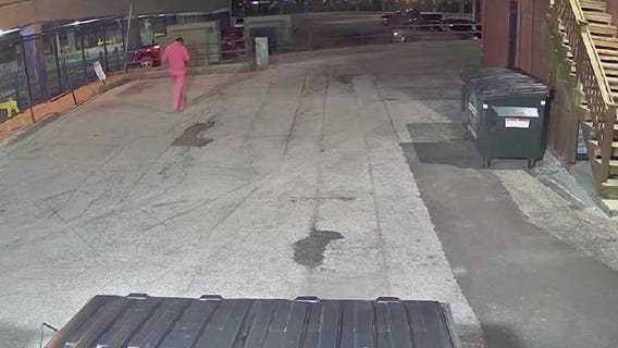 K9s pickup on scent in search for missing Navy sailor but find nothing