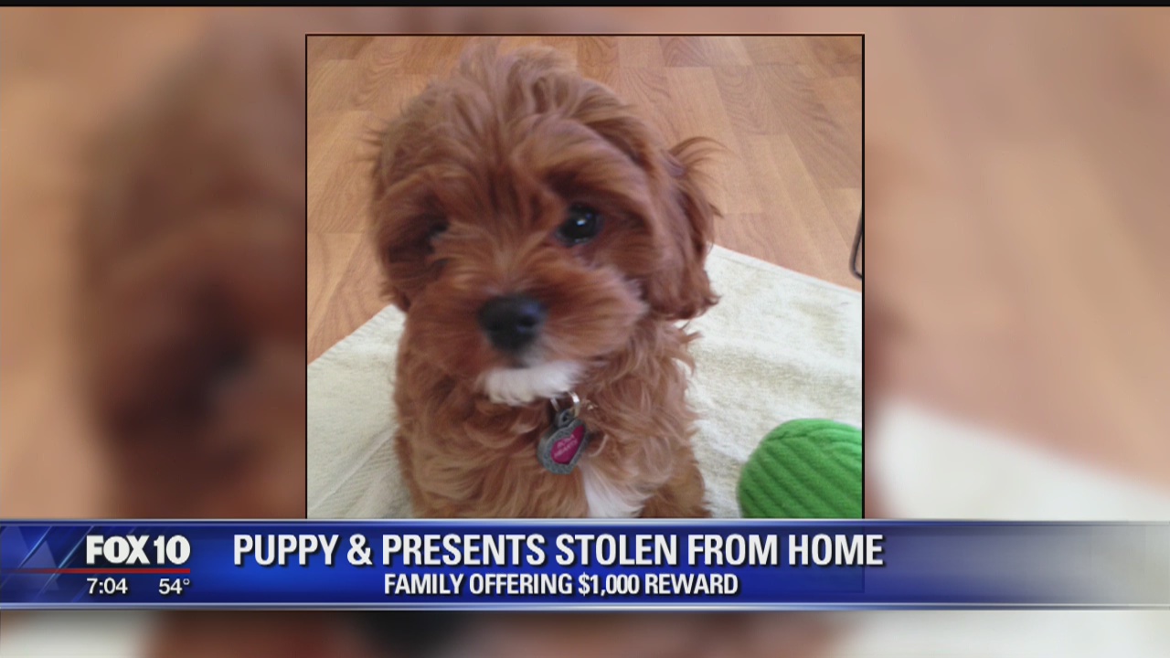 Thieves steal puppy, presents from Valley home