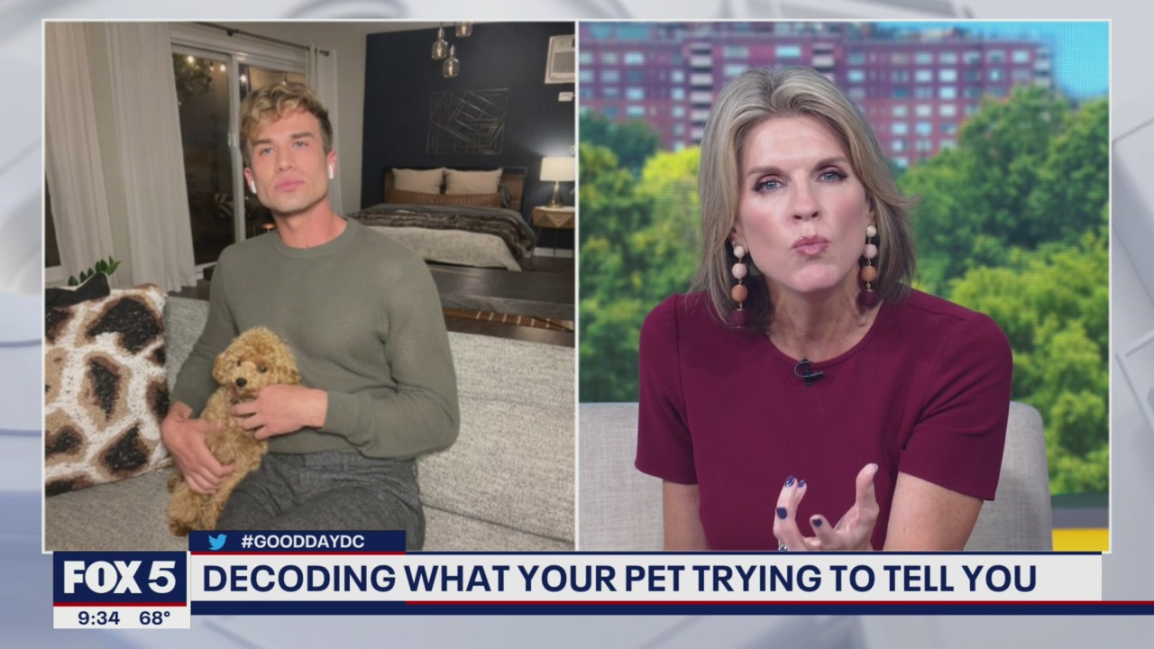 Tips for decoding what your pet is trying to tell you!