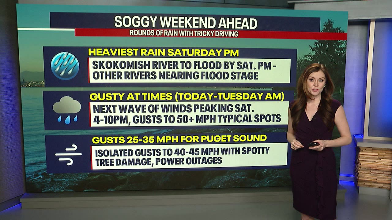Seattle weather: Heavy rain, gusty winds for several days