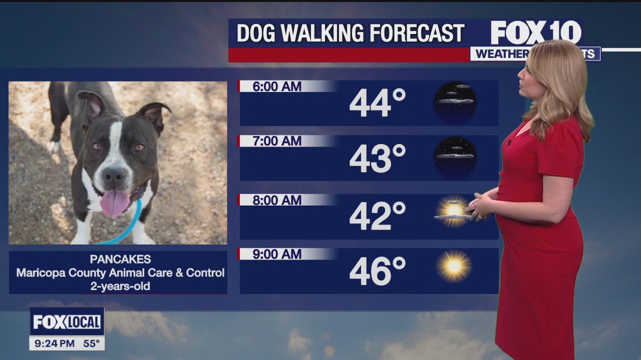 Evening Weather Forecast - 1/14/24