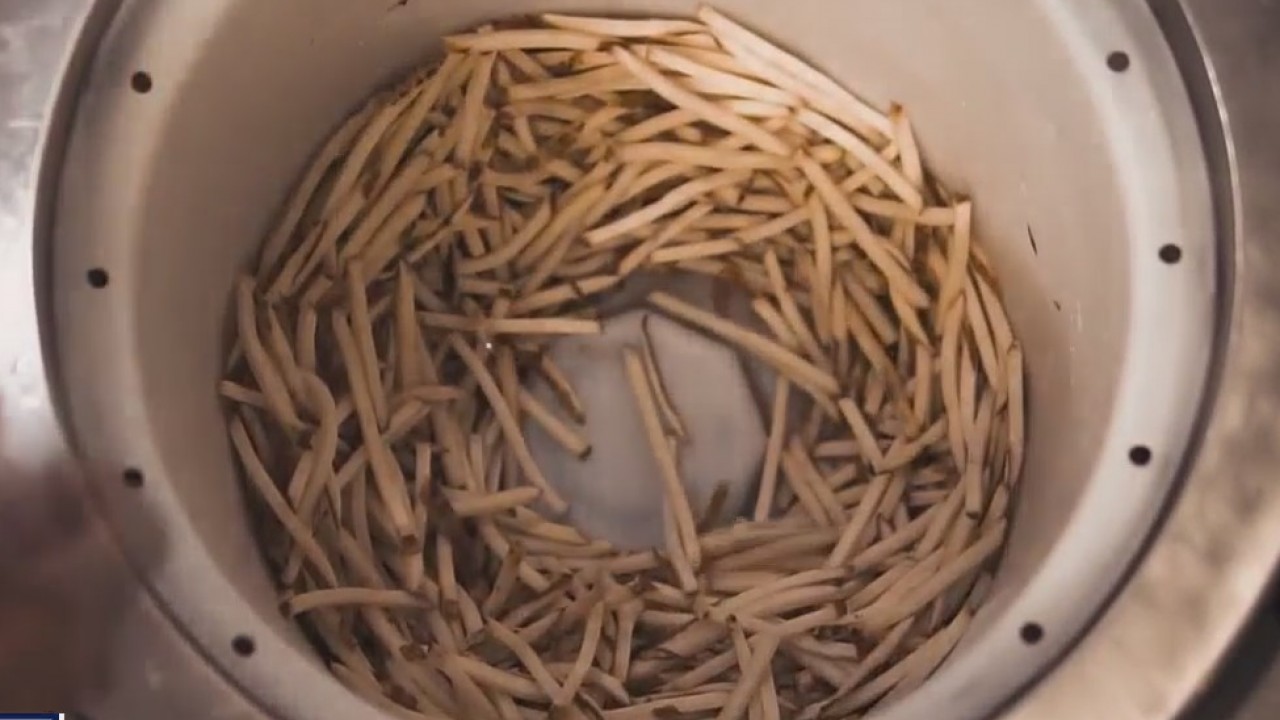 Good Day Cooks: Re-heating P. Terry?s fries