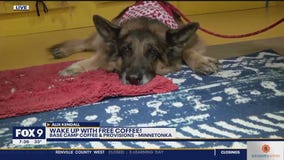 Dogs welcome at Base Camp Coffee in Minnetonka