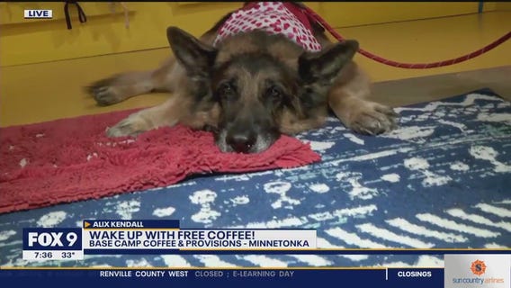 Dogs welcome at Base Camp Coffee in Minnetonka