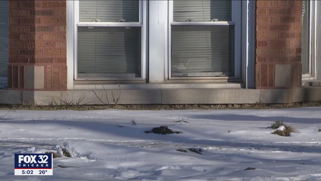 Chicago neighbor of tattoo artist charged with sexually abusing women speaks out