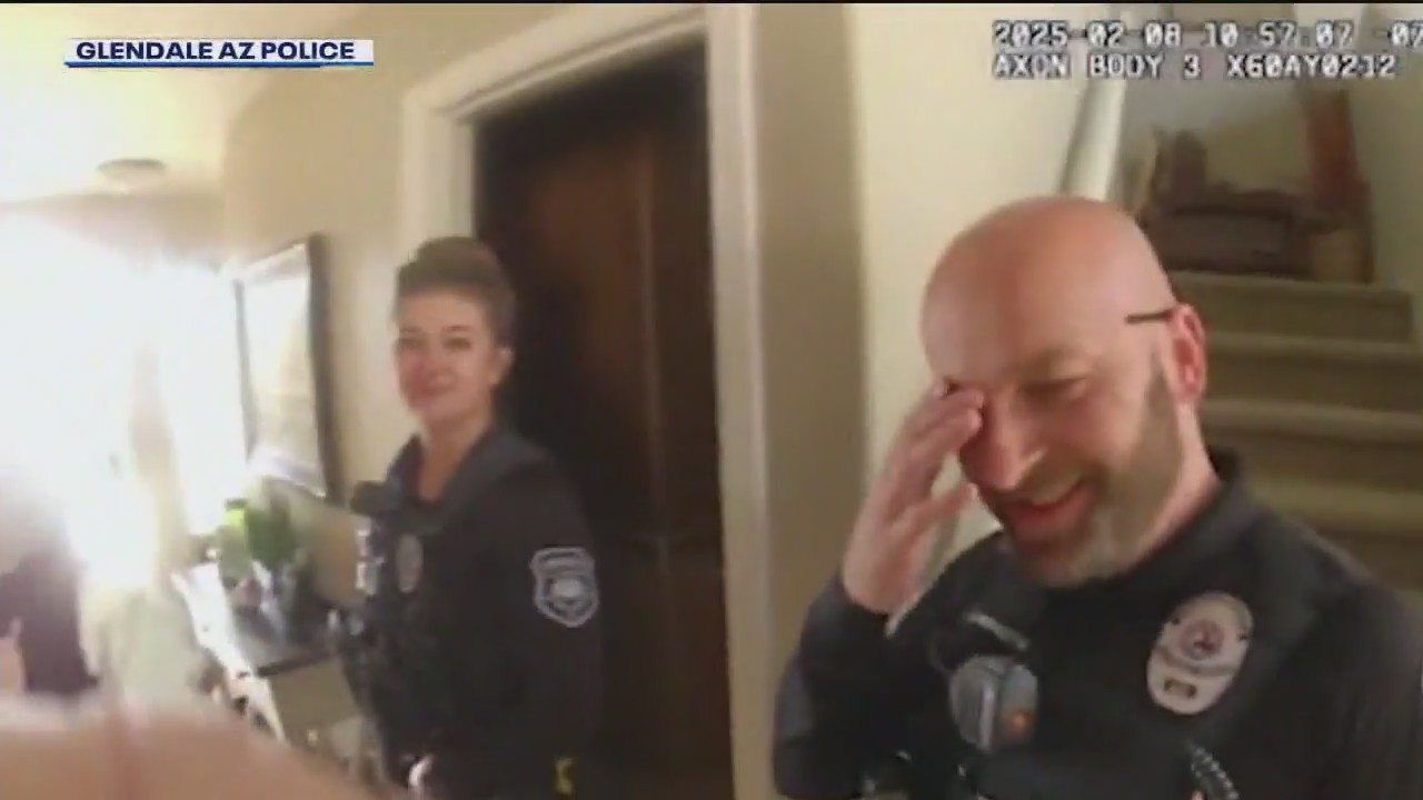 Woman calls 911 over pigeon intruder