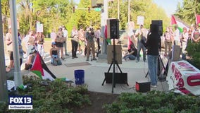 7 arrested after breaching Microsoft executive office