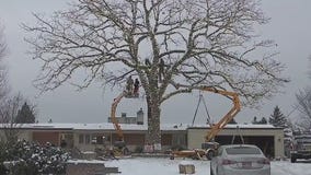 Seasonal Bloomington landmark will light again