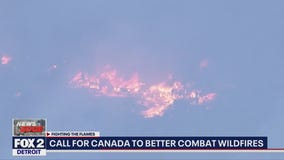 Call for Canada to better combat wildfires amid Michigan air quality