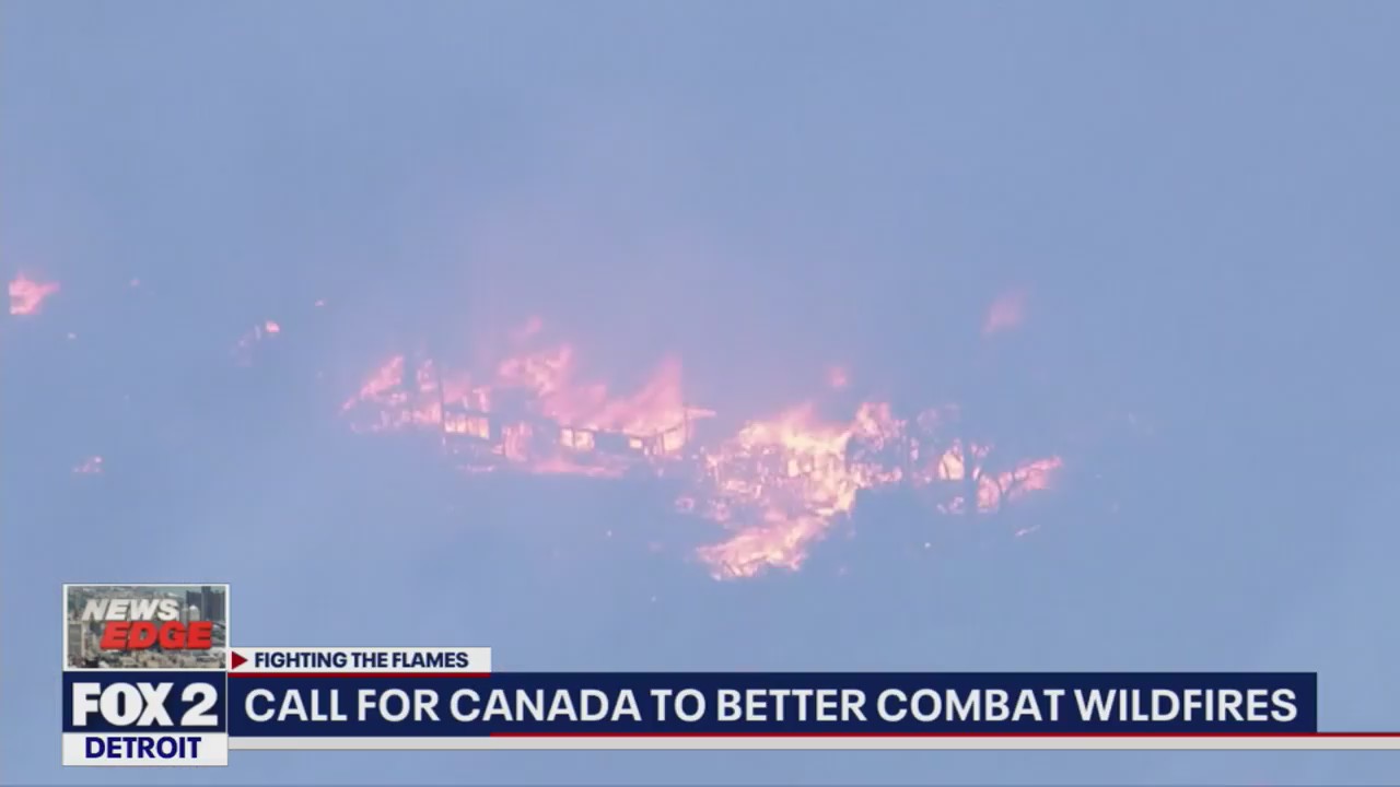 Call for Canada to better combat wildfires amid Michigan air quality