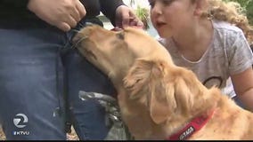 Daly City woman says 3 coyotes tried to attack dog while on walk with daughter