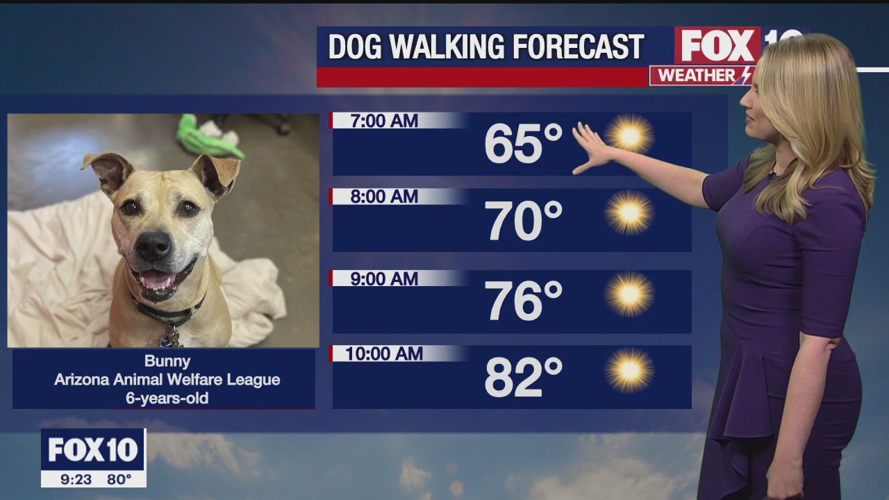 Evening Weather Forecast - 4/9/23