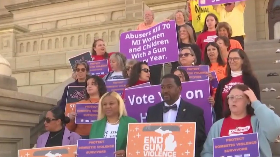 Michigan rallies planned in support of domestic violence gun bills